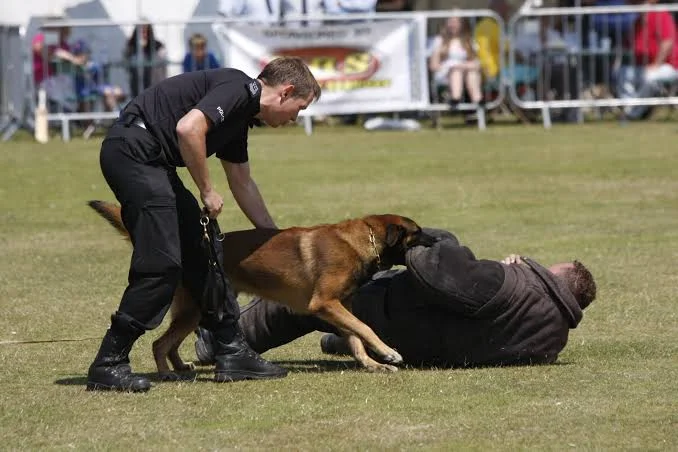 PSiRA Dog Handler Training
